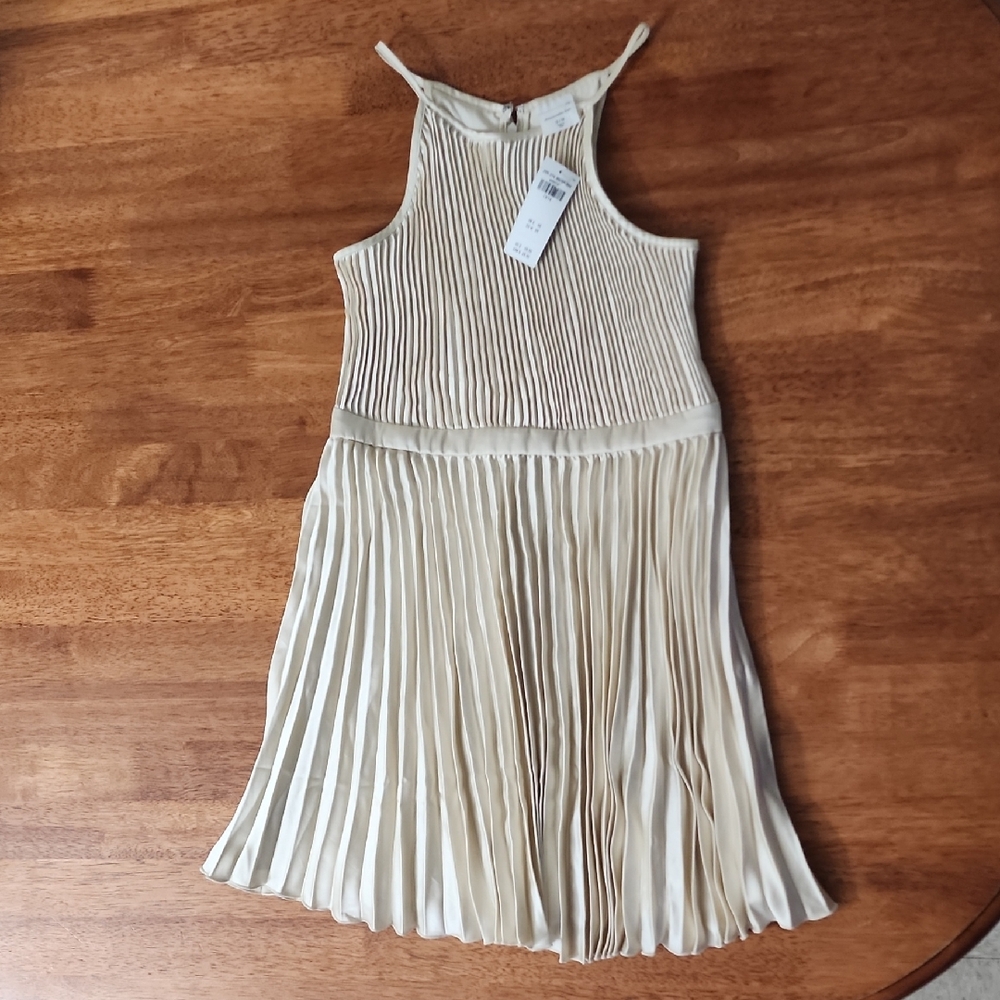 Abercrombie Kids Champagne Pleated Dress